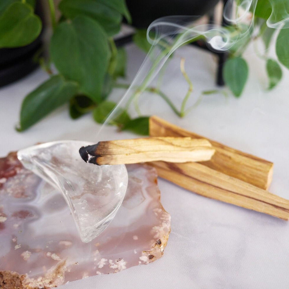 Miniatura: Palo Santo Sticks | Holy Wood from Peru