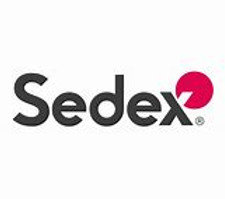 SEDEX logo.jpg