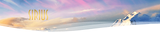 Sirius_header.png