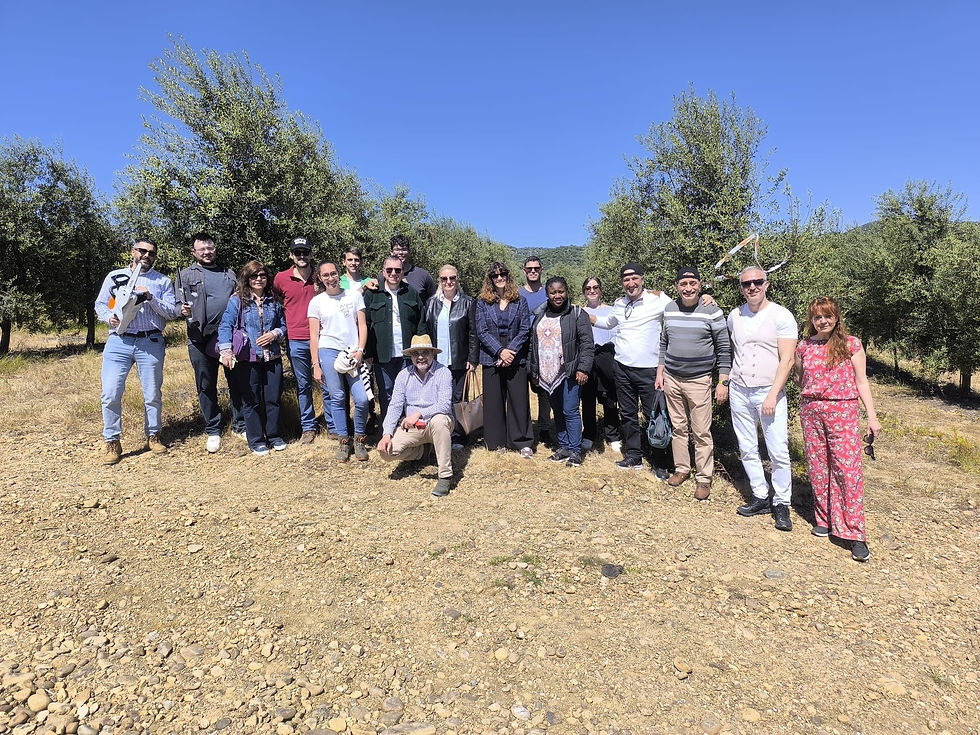 WhatsApp Image 2026-04-01 at 17.00.33