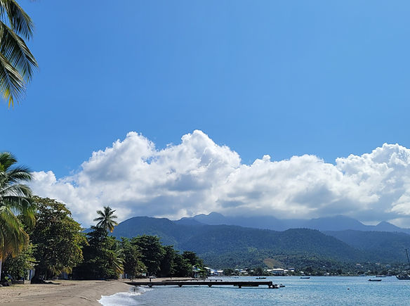 Purple Turtle Panorama.jpg