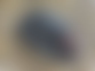 Bec Tavuğu Özellikleri Tokat TAVUĞU