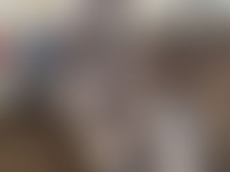 Splash Wyandotte Kuluçkalık Yumurta Civciv