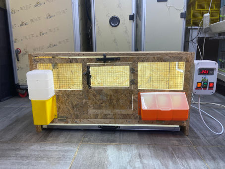 Civciv Büyütme Kafesi Tavuk Kümesi