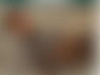 Porselen Ligorin Kuluçkalık Yumurta Ve CİVCİV