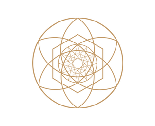 Parinaz Shams - Mood Board.png