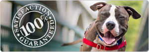 Satifaction Guaranteed with picture of Dog