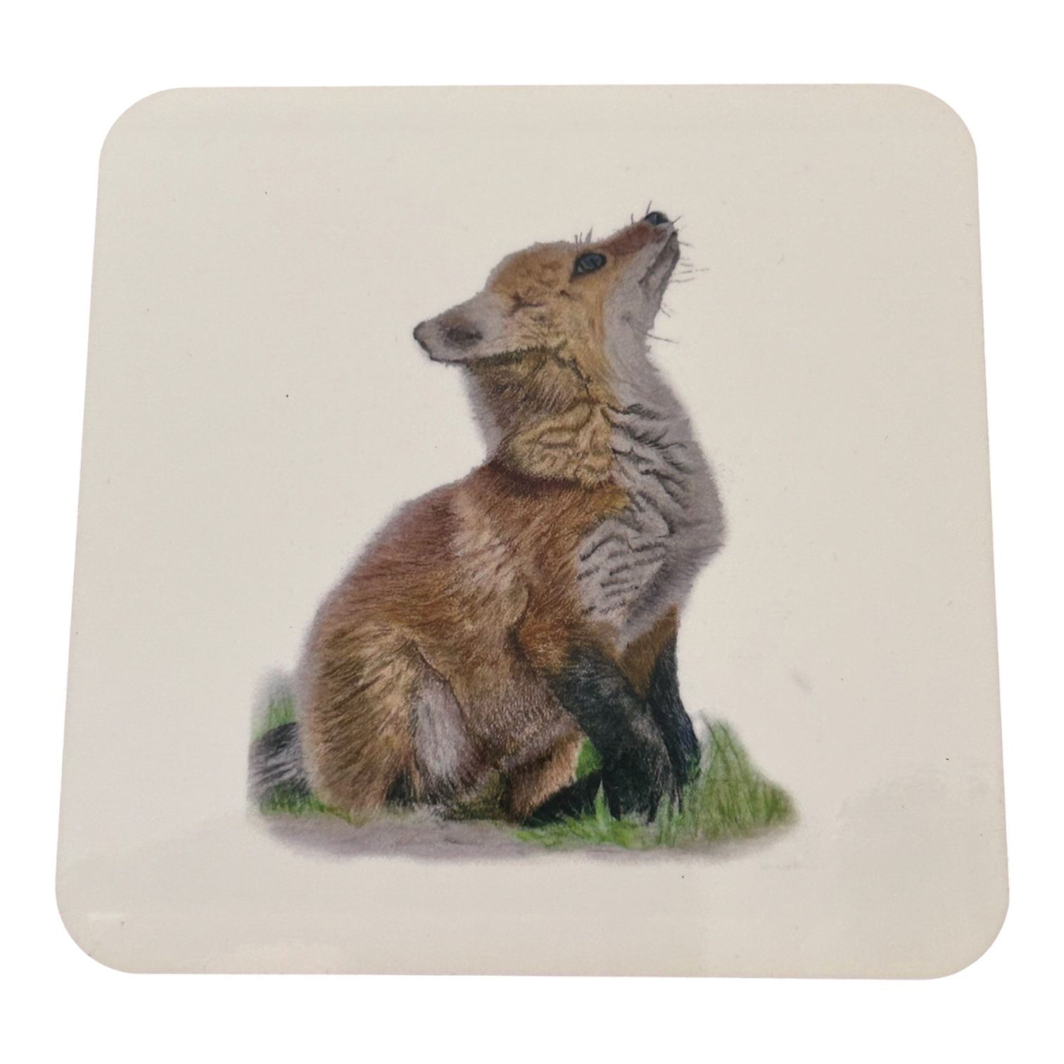 Coaster  - VARIOUS DESIGNS - Local Artist’s coloured pencil design)