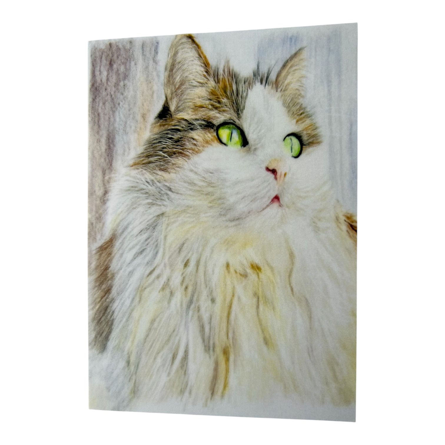 Card - Cat - (Somerset Artist’s coloured pencil design)