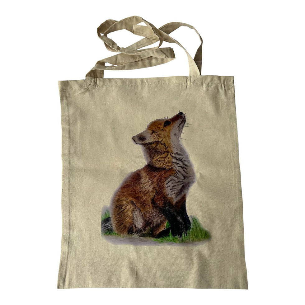 Thumbnail: Tote Bag - various designs - Local Artist’s coloured pencil design) 