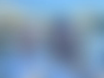 Brisbane and The Australia Zoo