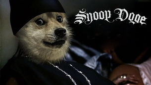 Snoop Dogg Becomes Snoop DOGE! Gene Simmons, Kevin Jonas Joins the Party!