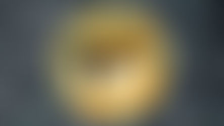 Where To Buy Dogecoin? 🐕 