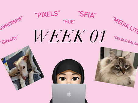 Week 01 - Media Literacy