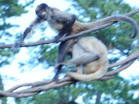 太陽光発電変更申請完了する！～2025/12/28