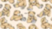 teddy bear.webp