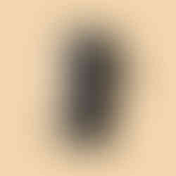 Stainless Steel electric kettle with a sleek, minimal silhouette.