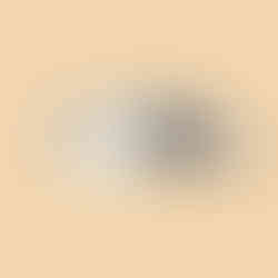 Snow Peak Land Nest shelter tent in ivory