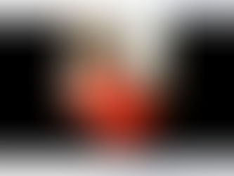 HAY QUE PONERLO A DORMIR!...
A3. LA FÓRMULA TRIPLE A, QUE SALVÓ LA VIDA A MAX, NUESTRO PERRITO.