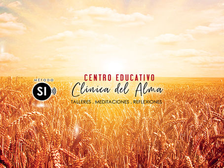 CLÍNICA DEL ALMA | Centro Educativo de Consejería y Espiritualidad