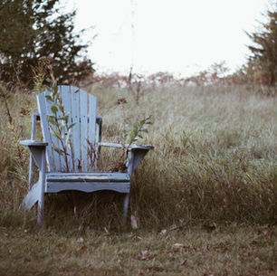 Weeds Keep Coming Back