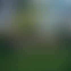 Holidays With Attitude