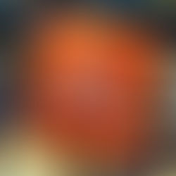 When Power and Rules Collide