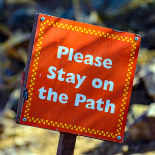 When Power and Rules Collide