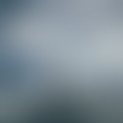 Addiction and Connection