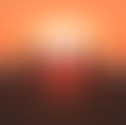 Hope for the Holidays