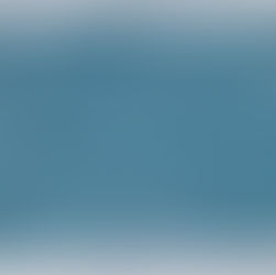 Facing Vulnerability