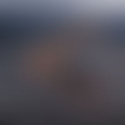 Female Athletes Turned Executives