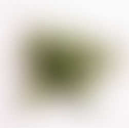 Marijuana and Illness