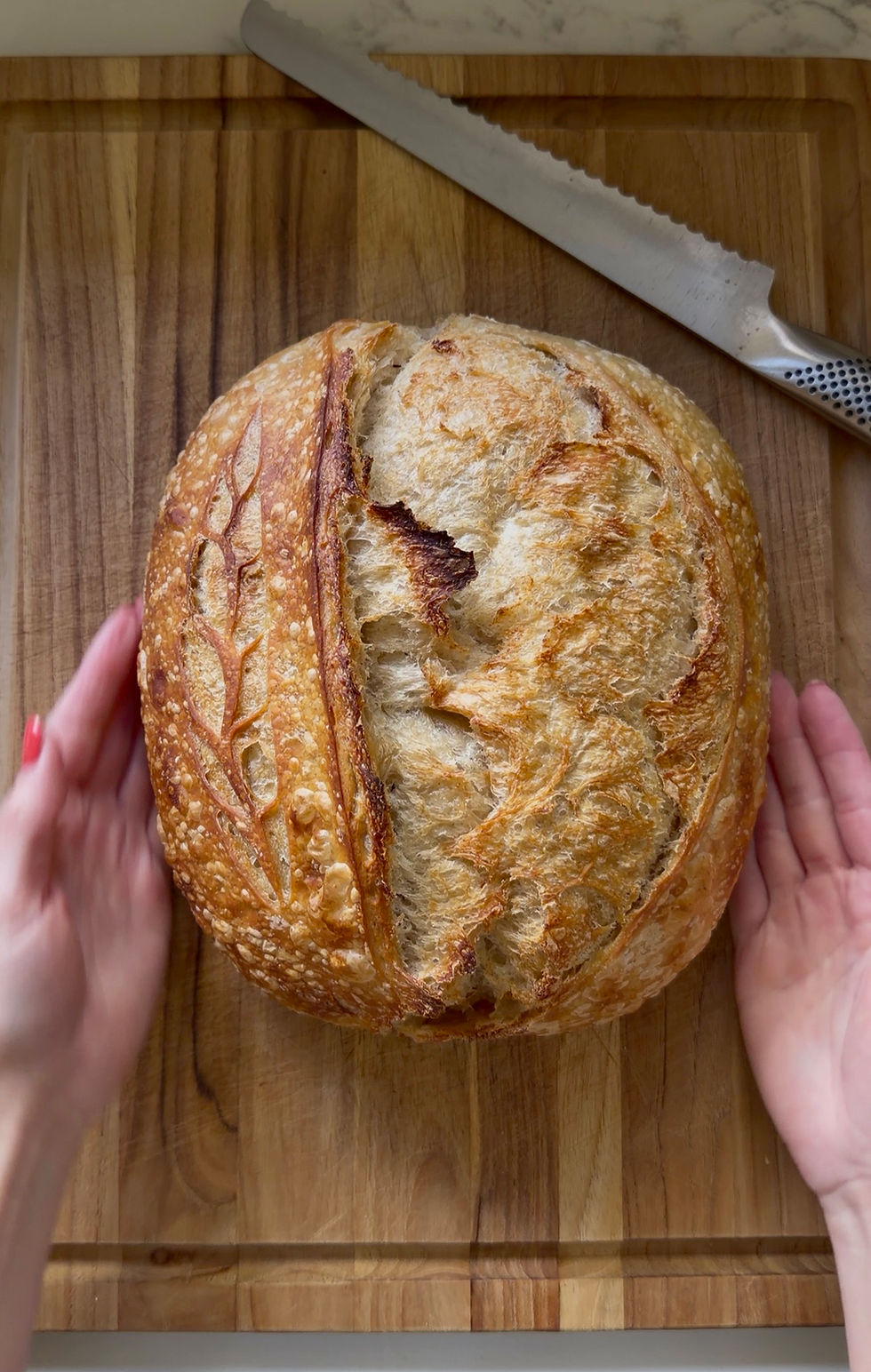 A Little Bit Whole Wheat Sourdough