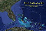 Bahamas Shark Sanctuary