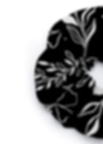 single-vine-2_edited.jpg