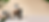 HAUS-OF-VIDA-LP-BANNER-DESKTOP.png