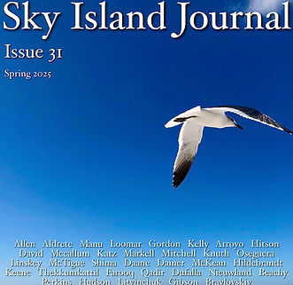 Sky Island Journal COVER Issue 31.jpeg