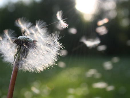 Poem: Particles