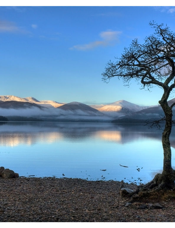 milarrochy-bay-loch-lomond-1fa920fe-d43c-40e7-8a5a-91971dbc03a8.jpeg