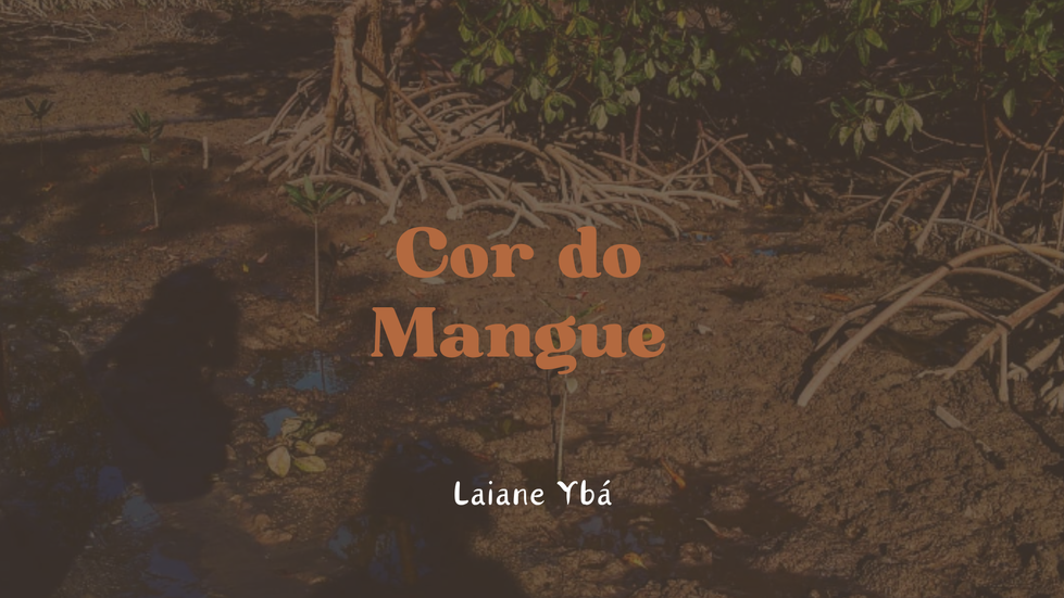 Cor do Mangue - disponível na nossa loja.