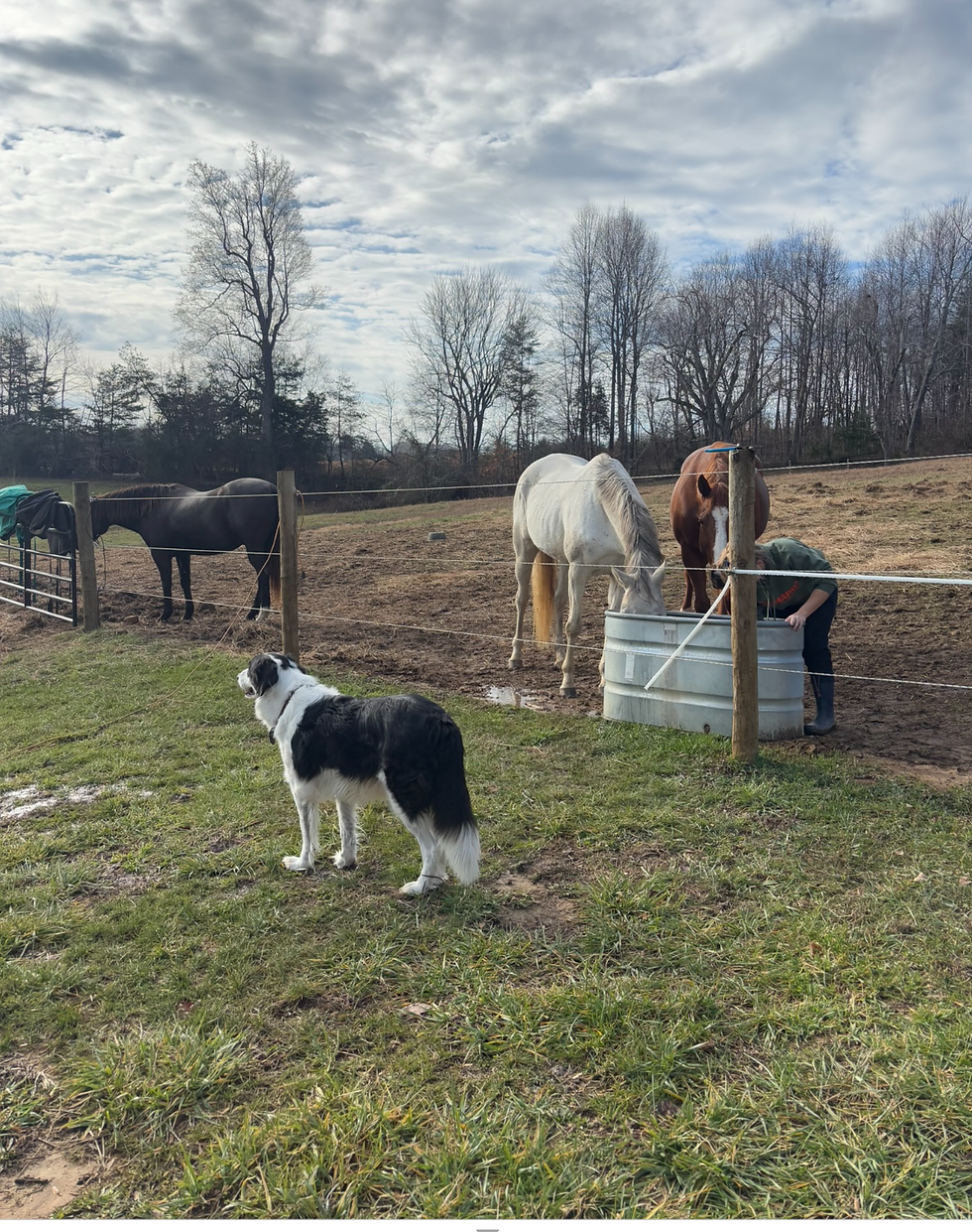 Merry Christmas and a happy new year