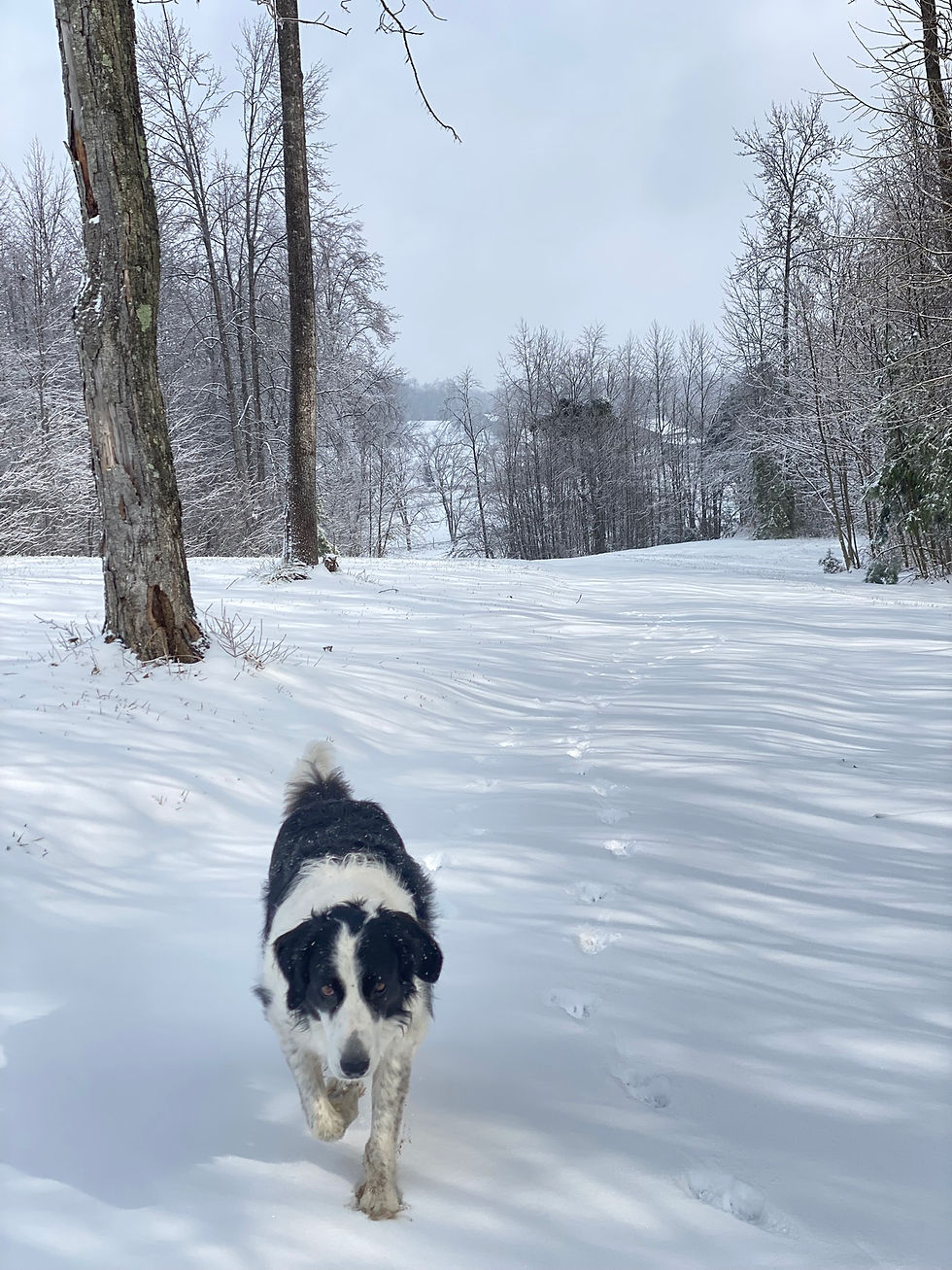 Winter came in January 2025