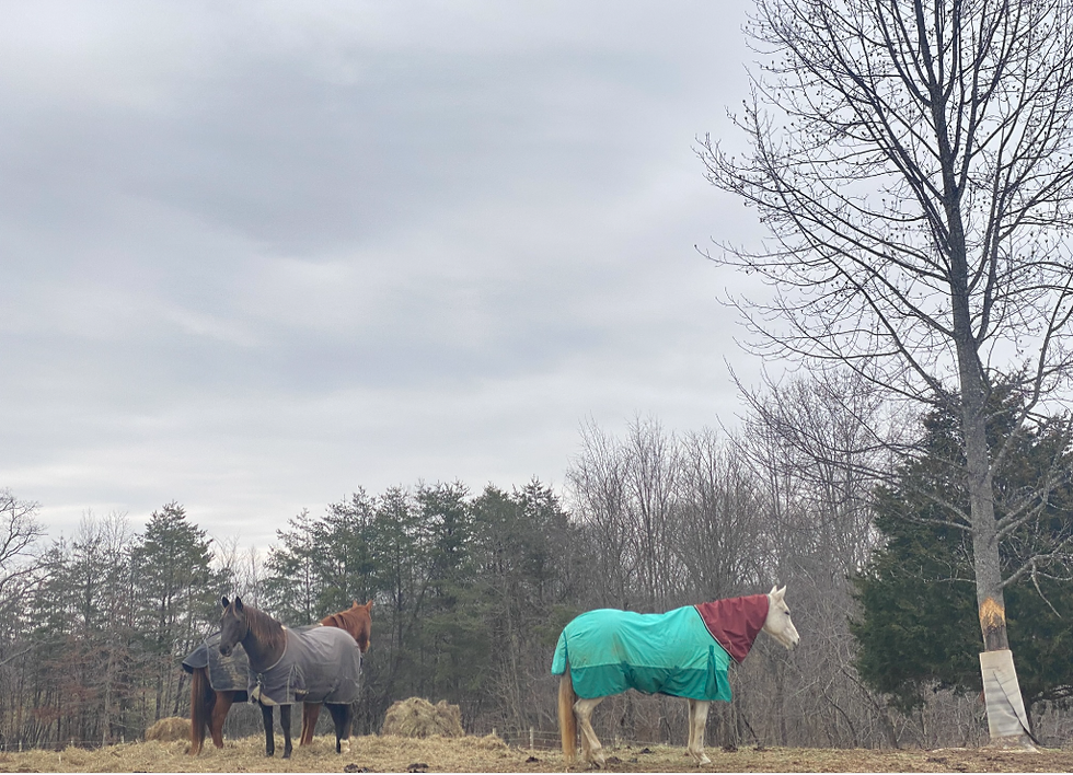 we are down to 1 layer!