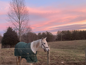 Corporate work week end