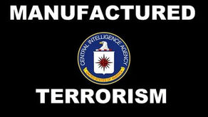 The C I A Is A Domestic Social Engineering Cult They Create All Extremist Movements In America