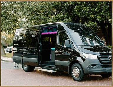 0642d8_7f286d9c17604dbfab58a8b6f1673b22~mv2 (1) (3) (1).png