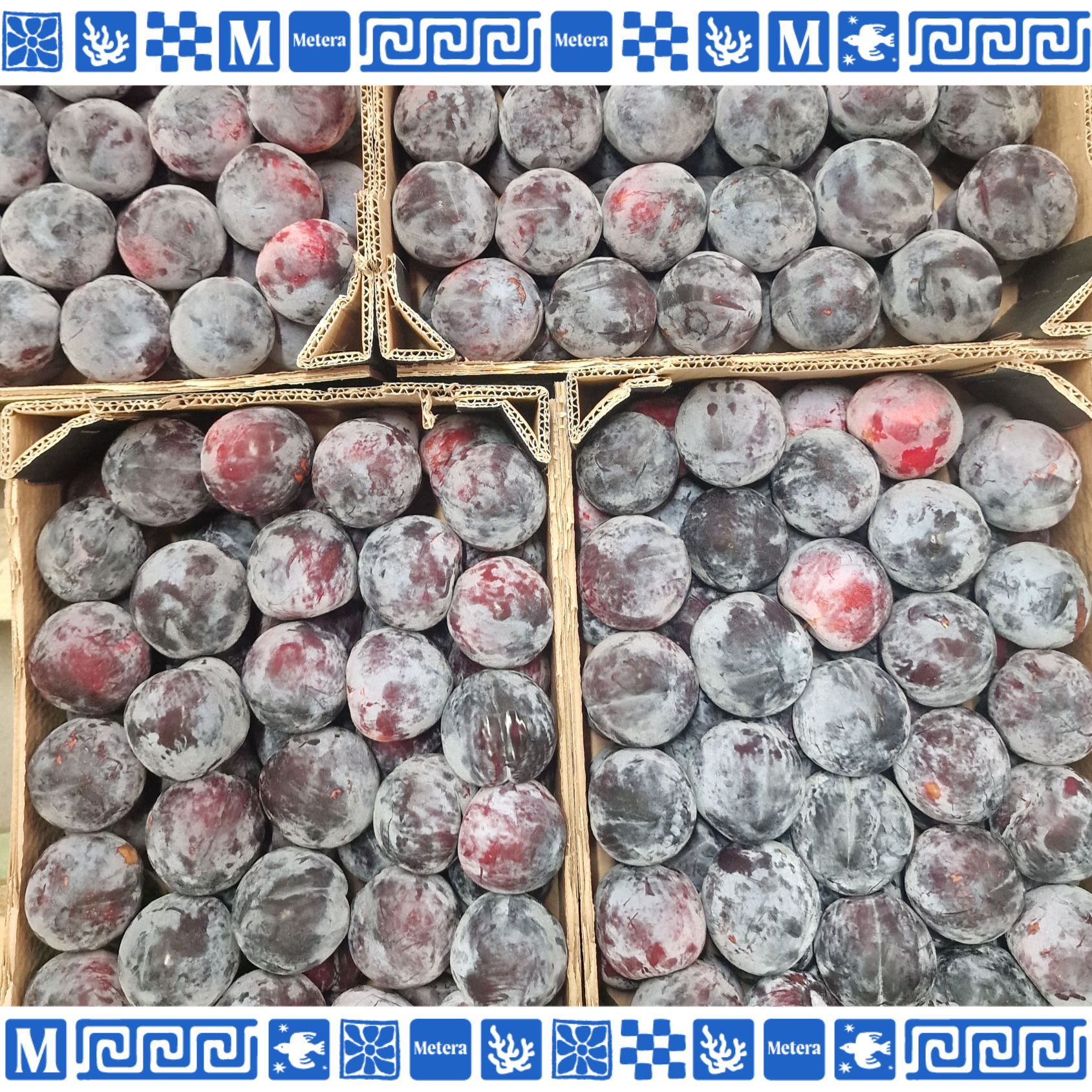 Едри сини сливи – 1 кг