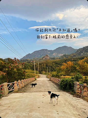 滑手機越多越焦慮？看懂資訊焦慮與神經系統的關係｜Zero靜修中心