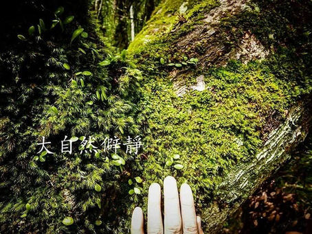 台東靜心大自然靜心